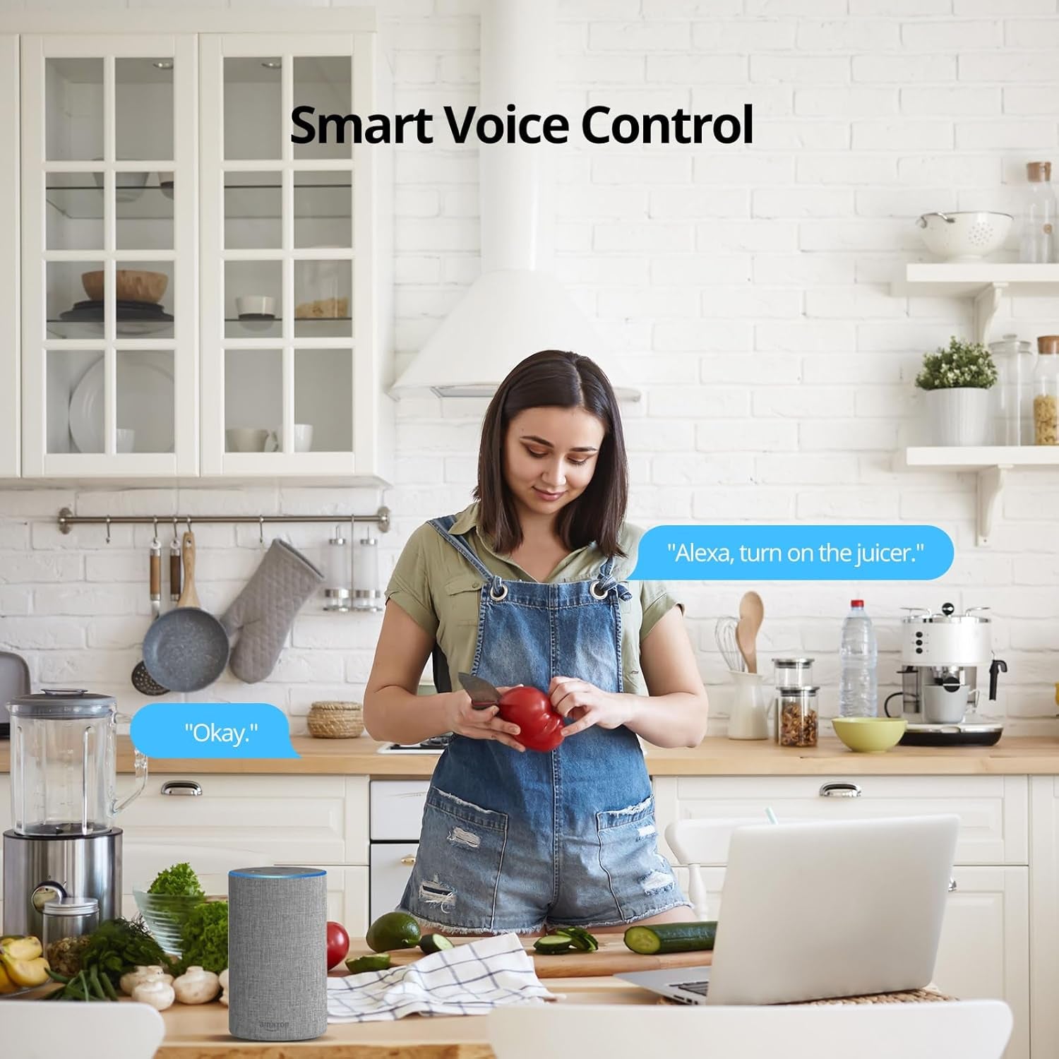S40 Smart Plug with Energy Monitoring - 15A ETL Certified Smart Outlet, Compatible with Alexa & Google Home, IFTTT Support, No Hub Required, 2.4GHz Wi-Fi Only
